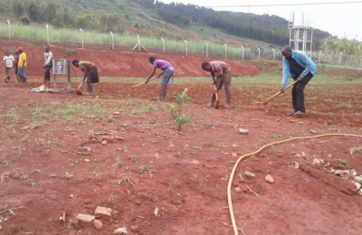 Compound Gardening